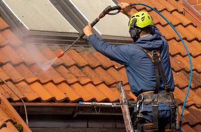 Démoussage et hydrofuge de toiture à Camembert